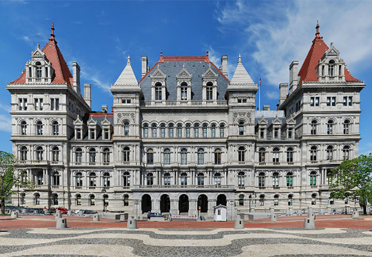 New York University    學校